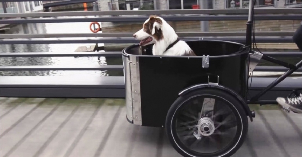 EBike Masters Nihola Family EBikes