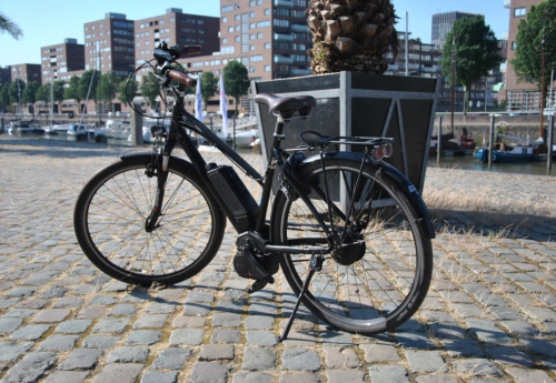 Bluelabel cruiser