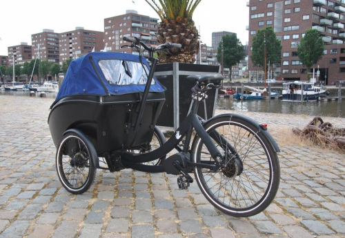 Triobike mono mid drive occasion